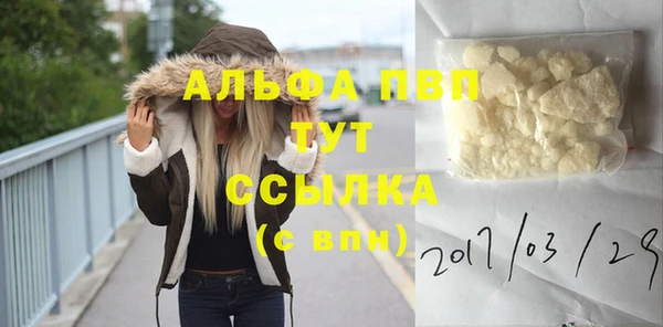 дурь Карпинск