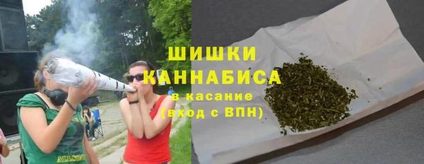 дурь Карпинск