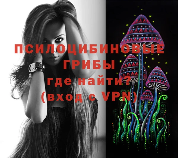 гидропоника Карталы