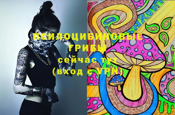 гидропоника Карталы