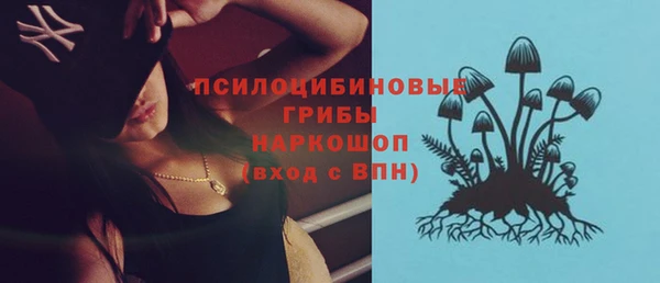 дурь Карпинск