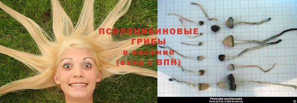 гидропоника Карталы