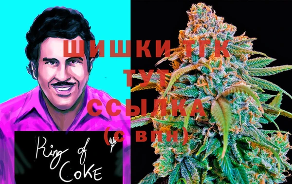 гидропоника Карталы