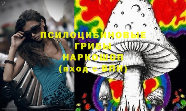 дурь Карпинск