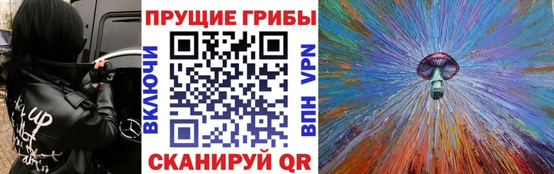 Галлюциногенные грибы GOLDEN TEACHER  Купить закладки  Мещовск 